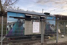 tauben-owd - Sven Kienscherf