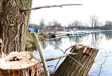 muk_lippesee_neu - Rajkumar Mukherjee