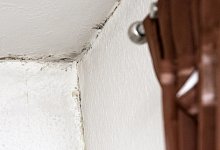 Schimmel ist ein Mietmangel - Foto: Andrea Warnecke/dpa-tmn