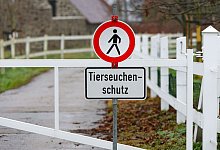 Vogelgrippe - Jan Woitas/dpa-Zentralbild/dpa