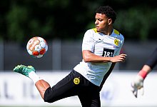 Donyell Malen - Foto: David Inderlied/dpa