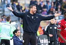 arminia_hanovii_009 - Oliver Krato