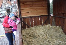 Unbewohnt - Susanne Grimm