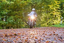Motorradfahrer fährt über eine herbstliche Landstraße - Benjamin Nolte/dpa-tmn