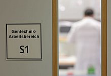 Forschung zu klimaresistenten Pflanzen am IPK Gatersleben - Matthias Bein/dpa