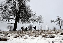 Erster Schnee im Sauerland - Federico Gambarini/dpa
