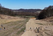 die-forstflache - Landesverband Lippe