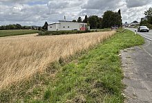 sa_edeka_wuesten_neu - 1 - Thomas Reineke