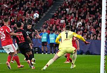 Benfica Lissabon - Bayer Leverkusen - Ana Brigida/AP/dpa