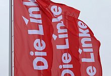 Die Linke - Karl-Josef Hildenbrand/dpa