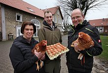 H&uuml;hnerstall H&ouml;rste - Bernhard Preuss