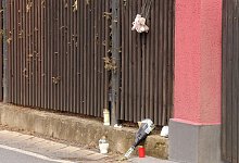 Leichenfunde im Vogtland - Bodo Schackow/dpa