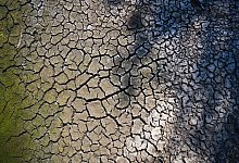 Ein ausgetrockneter Weiher zeigt tiefe Risse. - Nicolas Armer/dpa