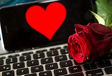 Rose auf Tastatur - picture alliance / dpa