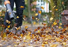 Laubbläser im Einsatz - Marcus Brandt/dpa/dpa-tmn