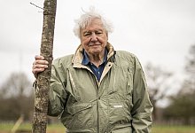 Sir David Attenborough - Aaron Chown/PA Wire/dpa