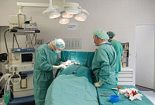 Herzkrankheiten - Maurizio Gambarini/dpa