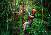 Treetops Adventure im Norden Queenslands - Treetops Adventure/Tropical North Queensland/dpa-tmn