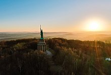 Hermann - Archivfoto: Moritz Knetter