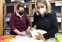 Tierheim - Sven Kienscherf