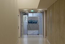 Deutscher Schwimm-Verband - Peter Endig/dpa