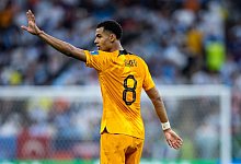 Cody Gakpo - Tom Weller/dpa