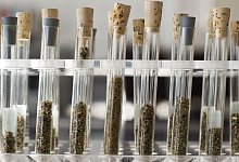 Reagenzgläser mit neuen psychoaktiven Substanzen - Christoph Schmidt/dpa