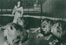 dora-friese - 1 - Archiv: Friese