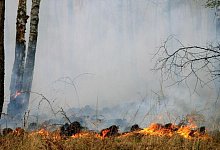 Waldbrand - 1 - Archivfoto: Wald und Holz NRW / T. Deckert