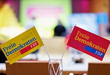 FDP-Fähnchen - Daniel Karmann/dpa