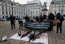 Protest in Frankreich - Christophe Ena/AP/dpa