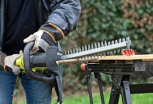 Test Akku-Heckenscheren - selbst ist der Mann/dpa-tmn