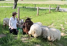 Heimathof - Helmut Depping