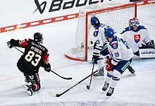 Deutschland - Slowakei - Sven Hoppe/dpa