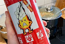 Feuerl&ouml;scher f&uuml;r den Haushalt - Foto: Till Simon Nagel/dpa-tmn