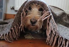 Verstecken - Katrin Kantelberg(LZ)