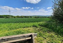 Natur Kalletal - Lorraine Brinkmann
