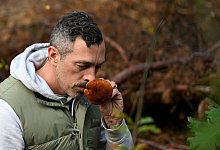 Mit einem Pilz-Influencer in den Pilzen - Lilli Förter/dpa