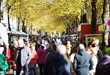 Besucher - Archivfoto: Nicole Ellerbrake