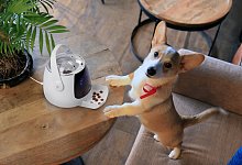 Snack-Automat von Pawbo/Acer - Foto: Pawbo/Acer/dpa-tmn