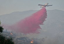 Brände auf Zypern - Petros Karadjias/AP/dpa