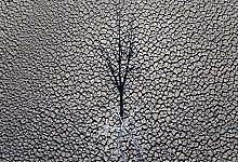 Dürre - Emilio Morenatti/AP/dpa