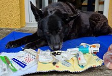 20230630_114645 - Marianne Schwarzer