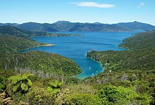 Neuseeland - Foto: Florian Sanktjohanser/dpa-tmn