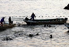 Japans Delfinj&auml;ger - Lars Nicolaysen/dpa