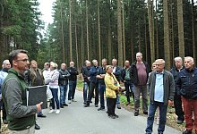 Exkursion Krebsbachtal - Nicole Ellerbrake