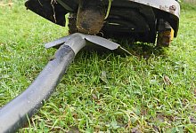 Rasenroboter im Test - Foto: Selbst ist der Mann/dpa-tmn