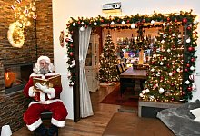 dam_5660 - Jonas Damme