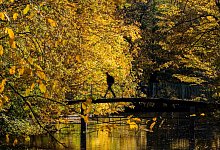 Sonne in Köln - Rolf Vennenbernd/dpa