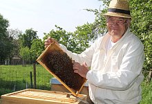 Bienenvolk - Knut Dinter